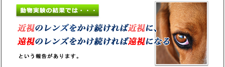 １，３５３人のメガネ使用者が僅か３日で視力が１．０に！！見える！驚異の視力回復法